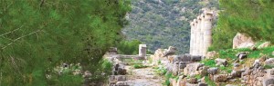Turkish Escape
