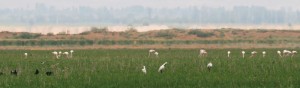 Nature Lovers’ Paradise